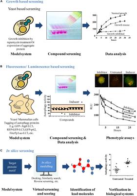 Chemical Biology Strategies to Study Autophagy